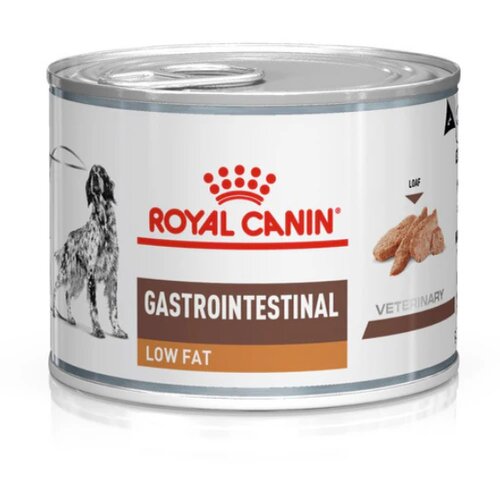 Royal Canin Veterinary Diet Gastrointestinal Low Fat Dog 200 g Cene