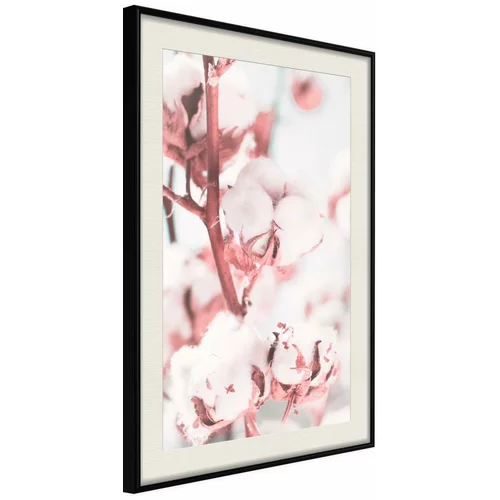  Poster - Cotton Flowers 20x30