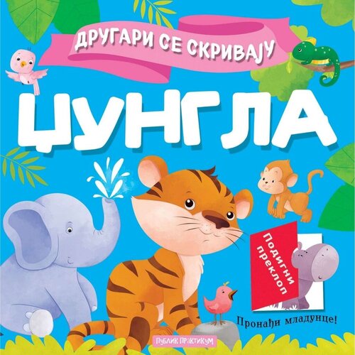 Publik Praktikum Drugari se skrivaju - Džungla Slike