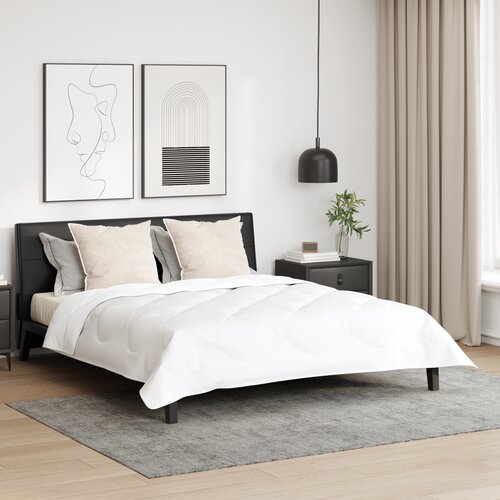 VidaXL Jastuk 2 pcs Bijela 80 x 80 cm 85gsm 100% poliester Slike