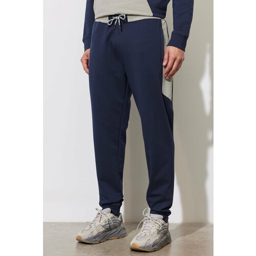 ALTINYILDIZ CLASSICS Men's Navy Blue Standard Fit Regular Cut Sweatpants. Slike
