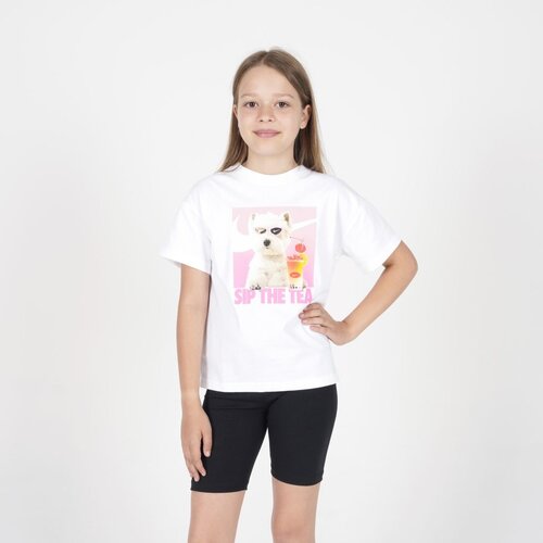 Nike Majica kratak rukav nsw photo tee GG Cene