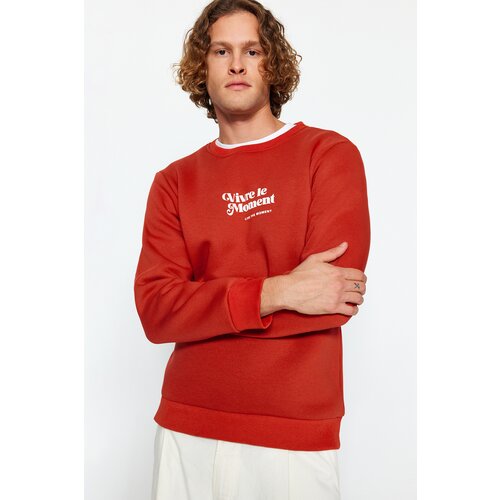 Trendyol Tile Men Men's Regular / Regular fit Crew Neck Long Sleeved Fluffy Text Printed Sweatshirt. Cene