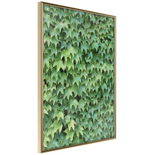  Poster - Hidden 20x30 Slike