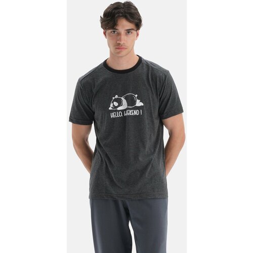 Dagi T-Shirt - Gray - Regular fit Cene