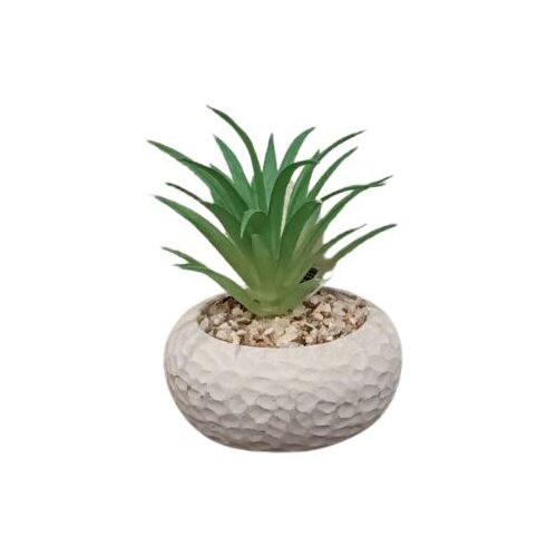 Dekordom cvet u saksiji - succulent cube 321 - N44 Slike
