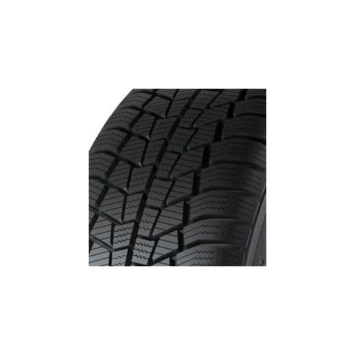 Gislaved euro*frost 6 ( 205/55 R16 91T )