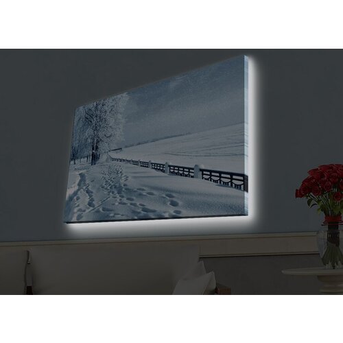 Wallity Slika sa LED osvetljenjem 4570HDACT-045, 45x70 cm Cene