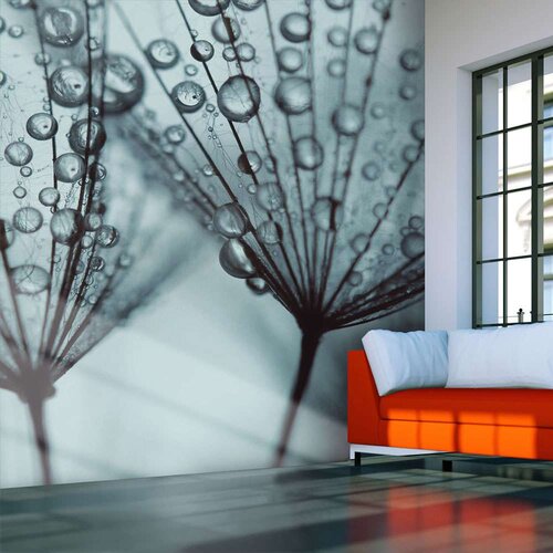  Tapeta - Turquoise dandelion 350x270 Slike