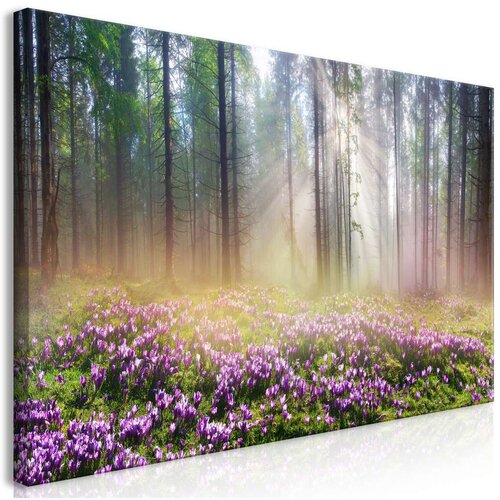  Slika - Purple Meadow (1 Part) Wide 70x35 Cijene