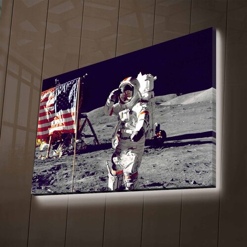 Wallity Zidna slika sa LED osvjetljenjem NASA-030, 45x70 cm Cijene