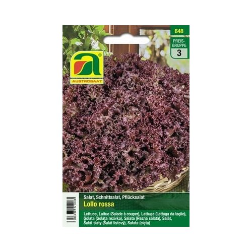 BIO solata Lollo Rossa Cene