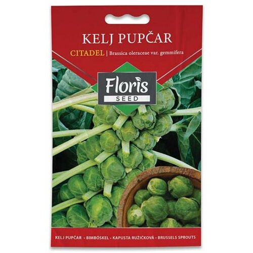 Floris seme povrće-kelj citadel 1g FL Slike