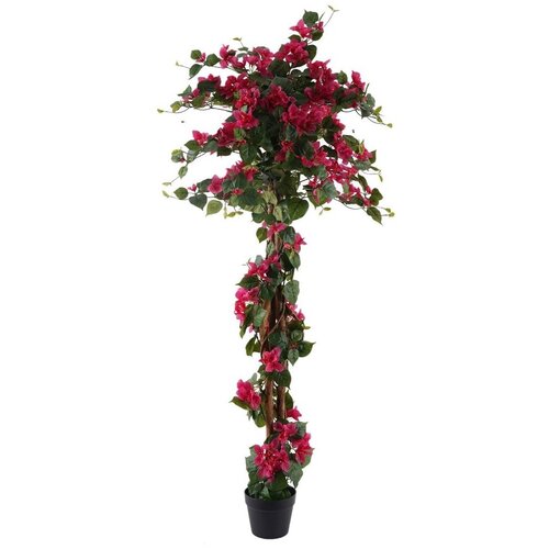 Signes Grimalt Umetne rastline Rastlina Bougainvillea Rdeča Slike