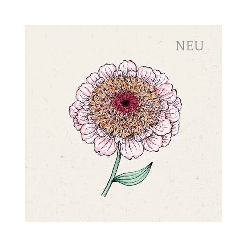 Jora Dahl Zinnia elegans "Zinderella Lilac" (cinija) Cene