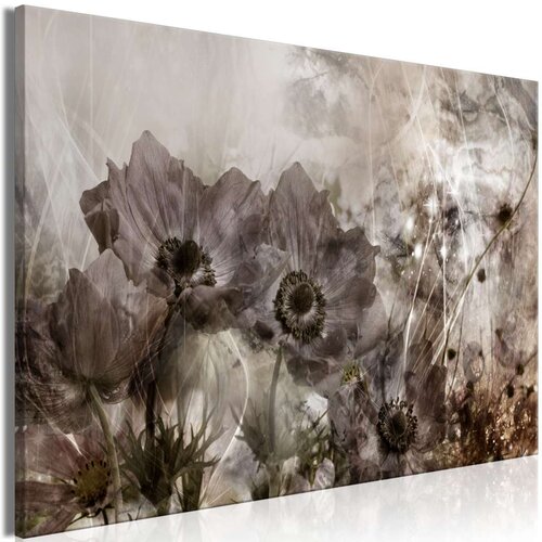  Slika - Anemones in Sepia (1 Part) Wide 120x80 Slike