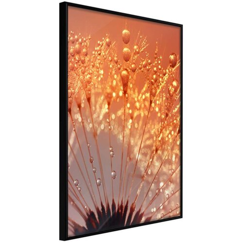  Poster - Orange Breath of the Summer 30x45 Cijene