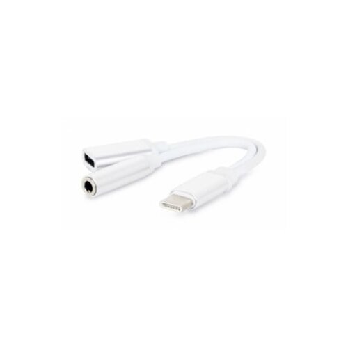 Fast Asia Adapter TIP C na 3.5mm stereo jack na TIP C Slike