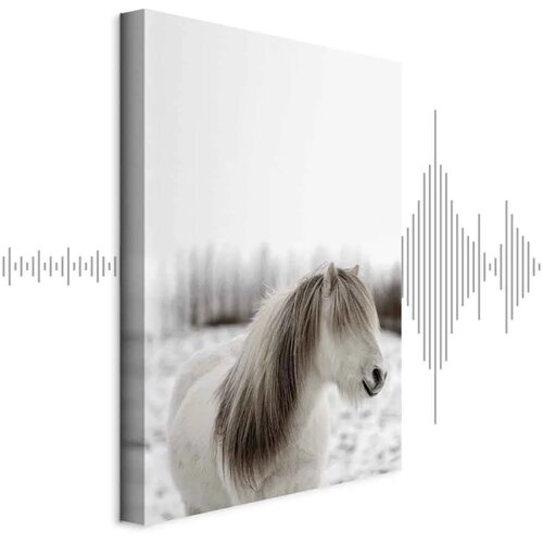  Slika - Horse Mane (1 Part) Vertical 60x90 Akustična Cene