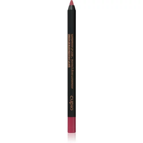 Cupio Waterproof Lip Liner vodootporna olovka za usne nijansa Feminine Touch 1,2 g
