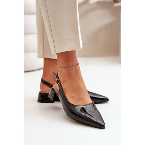 Kesi Patent leather ballerinas with low heels with pointed noses black Anarinne Slike