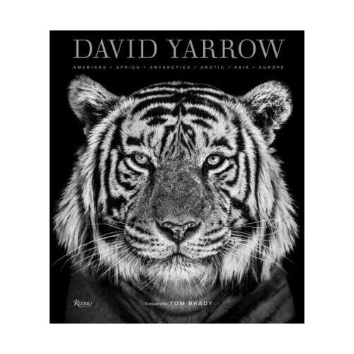Marston David Yarrow, Tom Brady - David Yarrow Photography: Americas, Africa, Antarctica, Arctic, Asia, Europe Cene