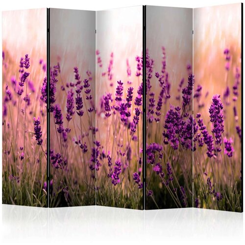  Paravan u 5 dijelova - Lavender in the Rain II [Room Dividers] 225x172 Cijene
