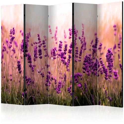  Paravan u 5 dijelova - Lavender in the Rain II [Room Dividers] 225x172