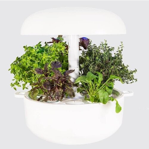 PLANTUI Pametni vrt 6 Smart Garden (SG6-W) Slike