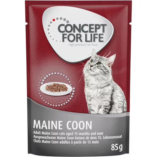Concept for Life Ekonomično pakiranje: 48 x 85 g - Maine Coon Adult (Ragout)