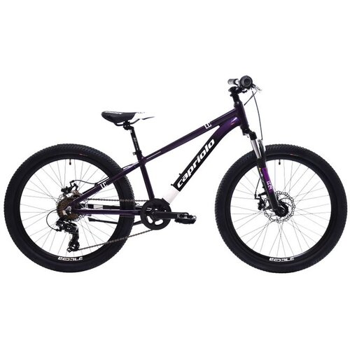 Capriolo MTB LC 240 24'' 7AL ljubi-plavo 925513-12 Cene