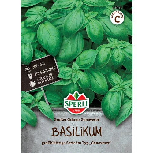 Bazilika Genoveser&amp;quot; - 1 pkt. Slike
