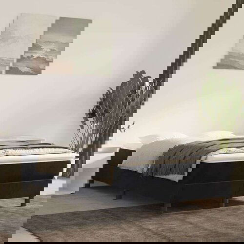 Box spring krevet s madracem crni 120 x 200 cm baršunasti Cijene