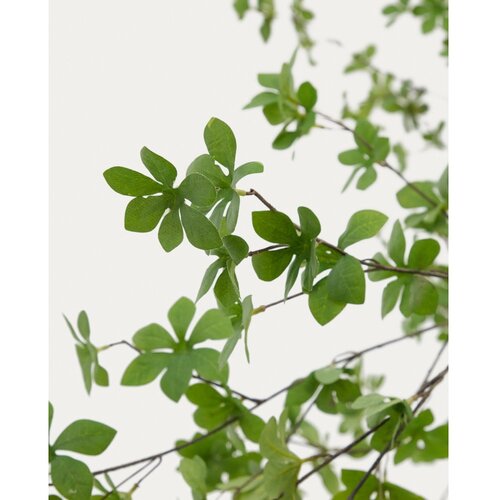 Kave Home Umetna rastlina (vi&amp;scaron;ina 214 cm) Enkianthus &amp;ndash; Slike