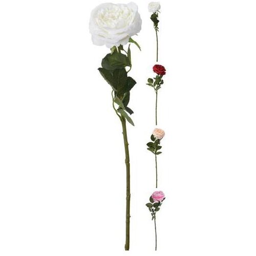 Ruža 63CM SORTO PVC Slike
