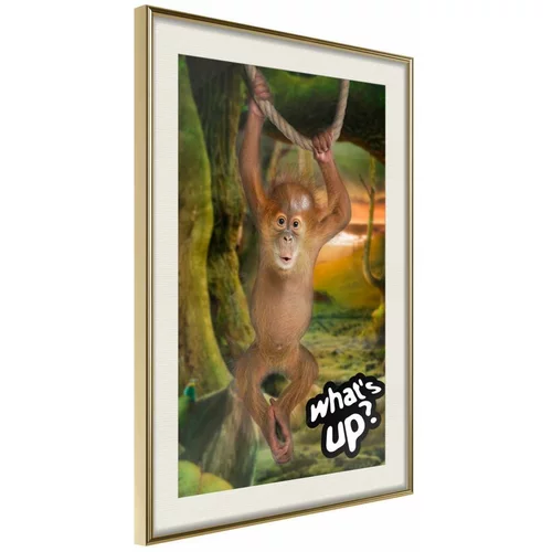  Poster - Life in the Jungle 30x45