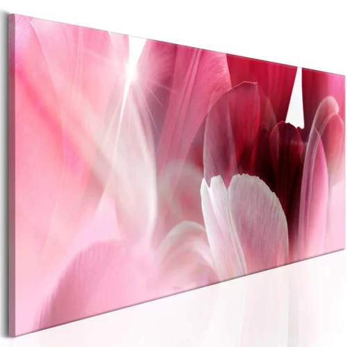  Slika - Flowers: Pink Tulips 120x40