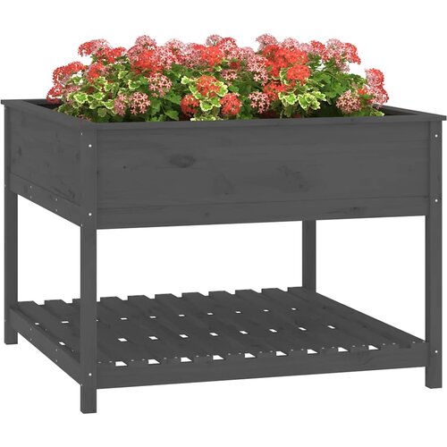  Sadilica s policom siva 111,5x111,5x81 cm od masivne borovine Slike