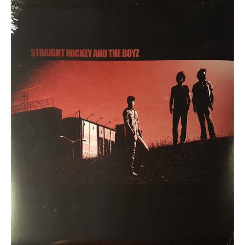  straight mickey and the boyz - mickey and the boyz Cene