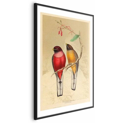  Plakat - Birds on a Branch 60x90 Crni okvir s margom Cijene