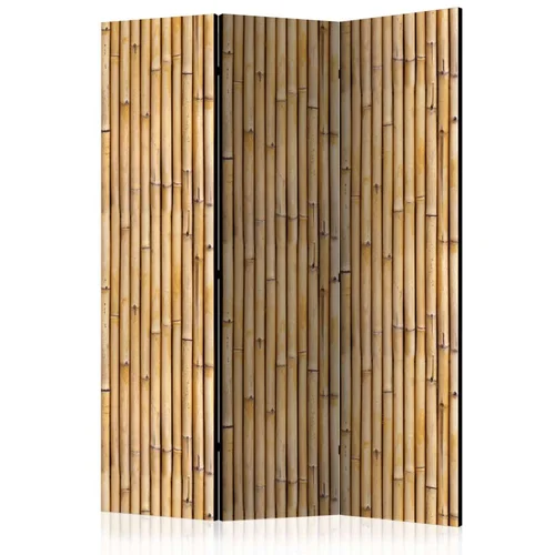  Paravan u 3 dijela - Amazonian Wall [Room Dividers] 135x172