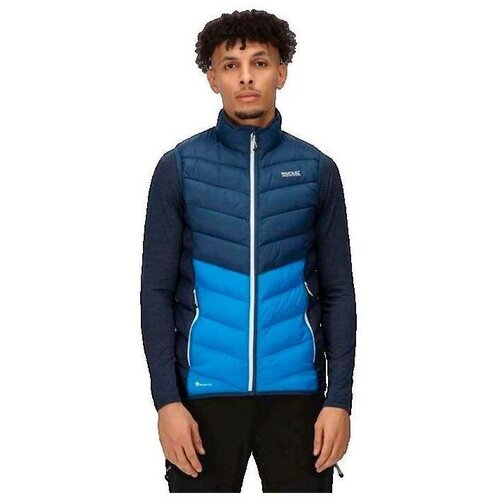 Regatta Jakne Gilet Harrock bleu Modra Cene