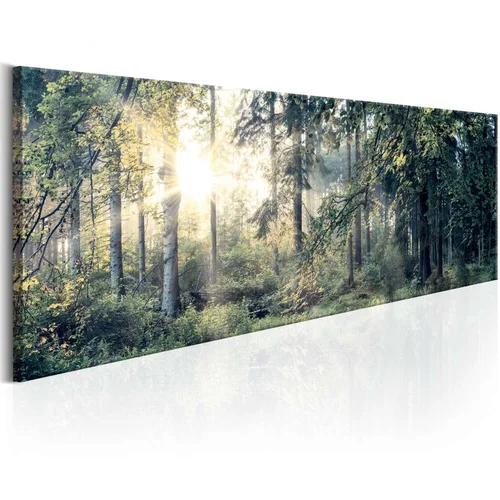  Slika - Morning Magic 120x40