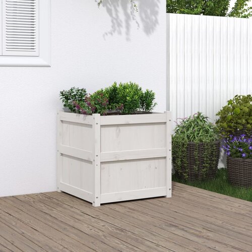 VidaXL Vrtna sadilica bijela 60 x 60 x 60 cm od masivne borovine Slike