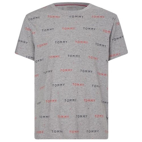 Tommy Hilfiger UM0UM021320IM Siva Slike