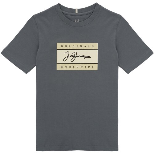 Jack &amp;amp; Jones JORFREDERIKSBERG Siva Slike