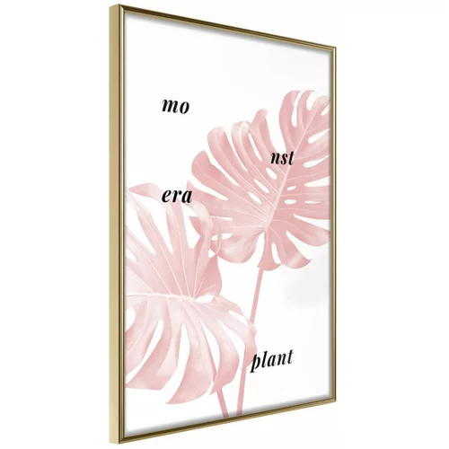  Poster - Pale Pink Monstera 20x30