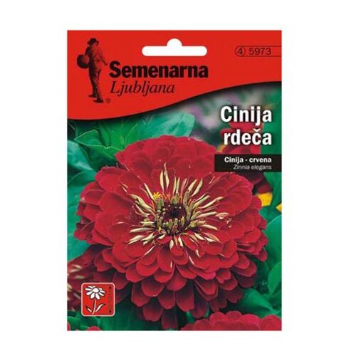  CINIJA CINIJA RDEČA-ZINNIA ELEG.V MALI VREČICI 5973 Slike