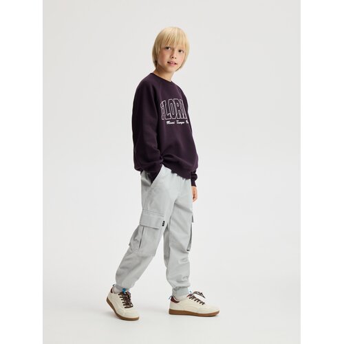 Reserved Jogger hlače s džepovima - svijetlo siva Cene