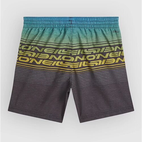 O&amp;#039;neill Logo Stripe Kids Boardshorts boys blue heritage oneill Slike